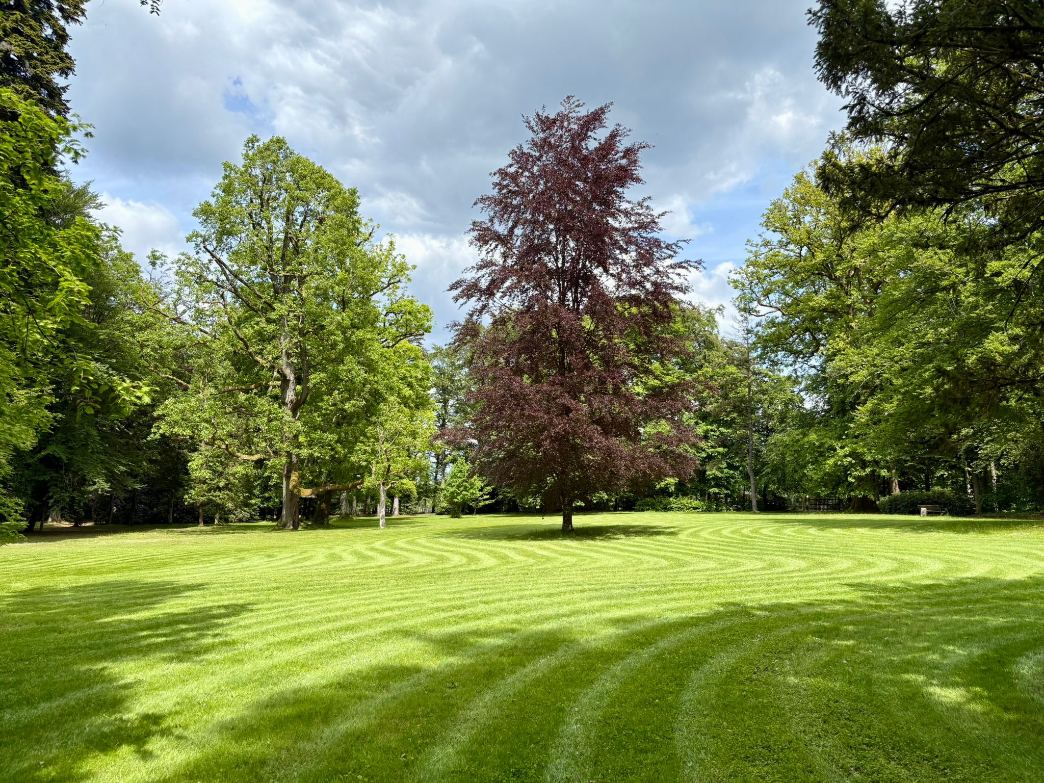 Gepflegte Parkwiese mit altem Baumbestand